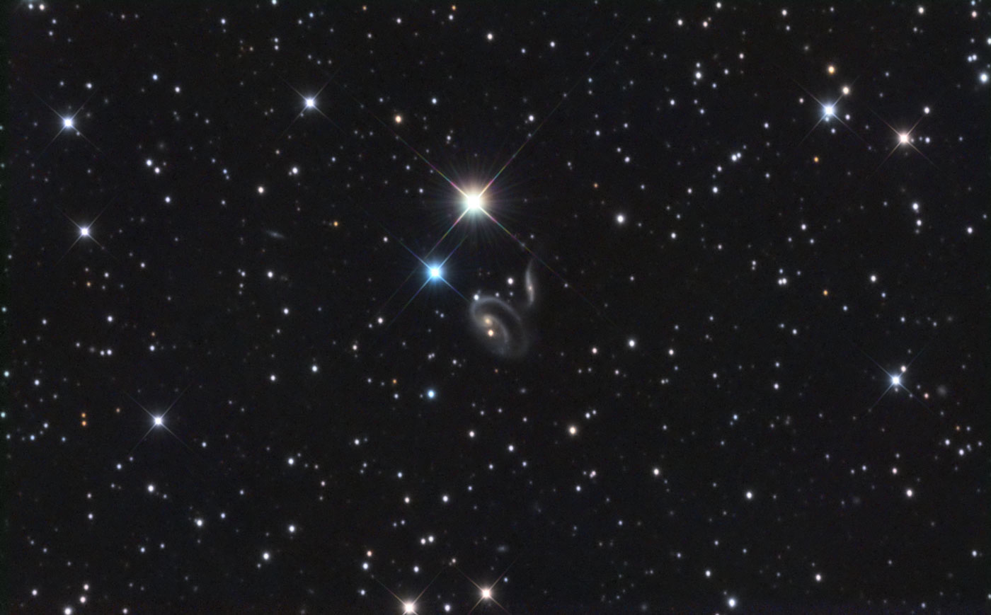 Arp 273