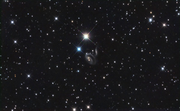 Arp 273