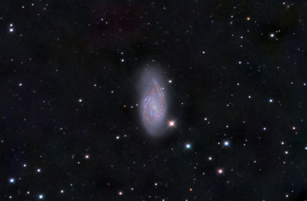 M66
