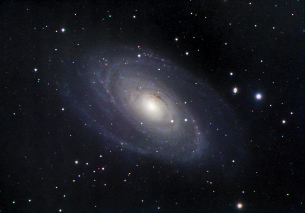M81
