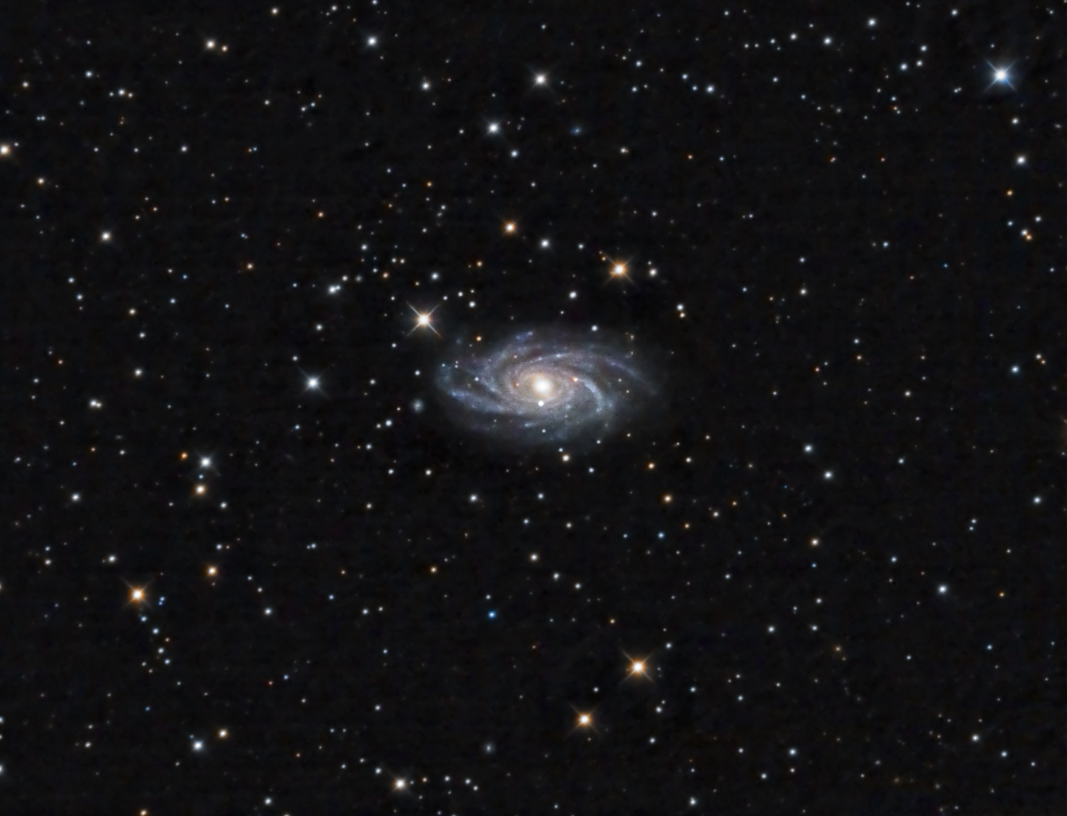 NGC 2336