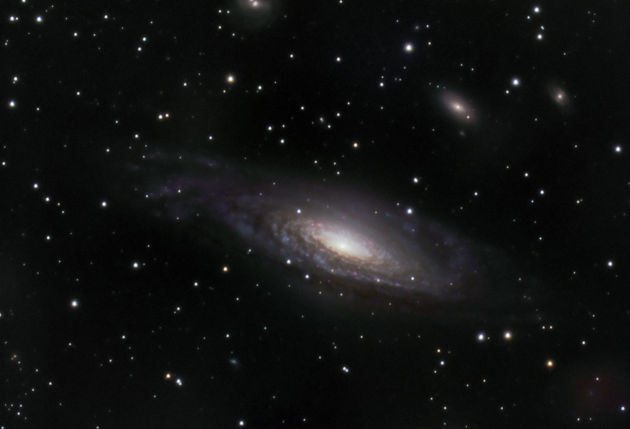 NGC 7331
