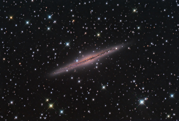 NGC 891