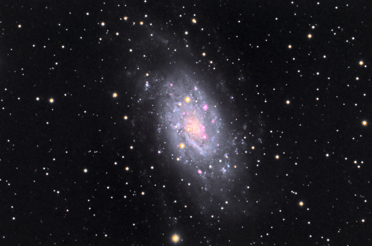 NGC 2403