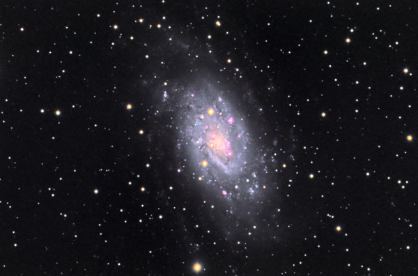NGC 2403